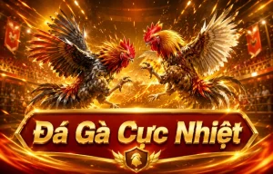 Ảnh giao diện Đá Gà tyshzjyxx